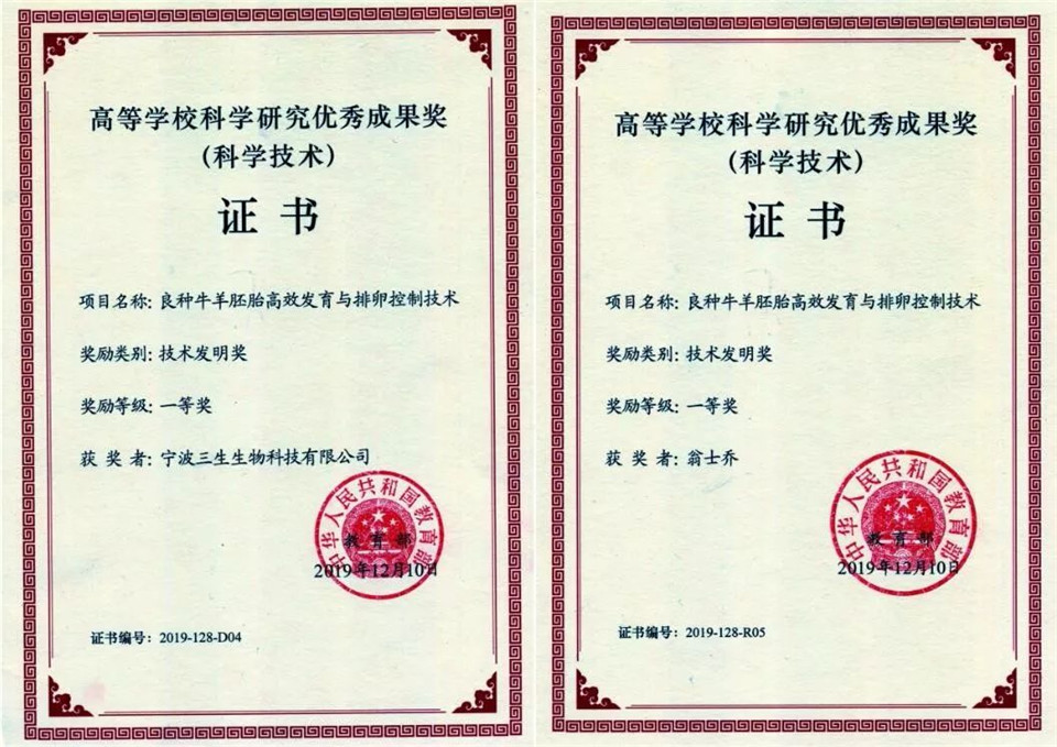 1588741735275317.jpg 640 (28).jpg