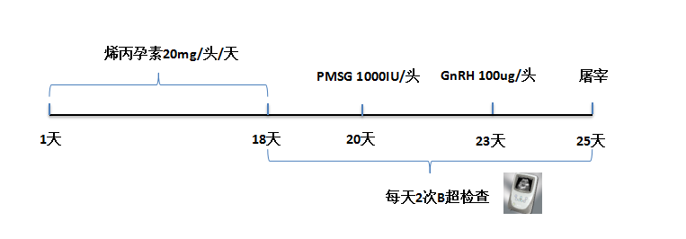 1589250662127451.png 640.png