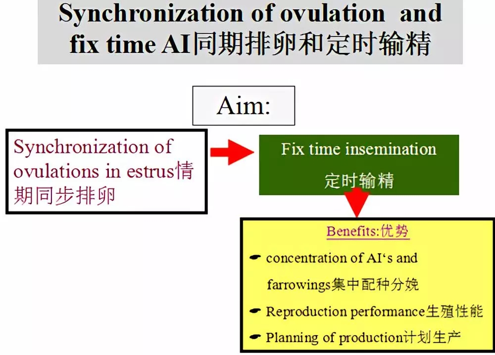 1589251365999068.jpg 640.webp (3).jpg