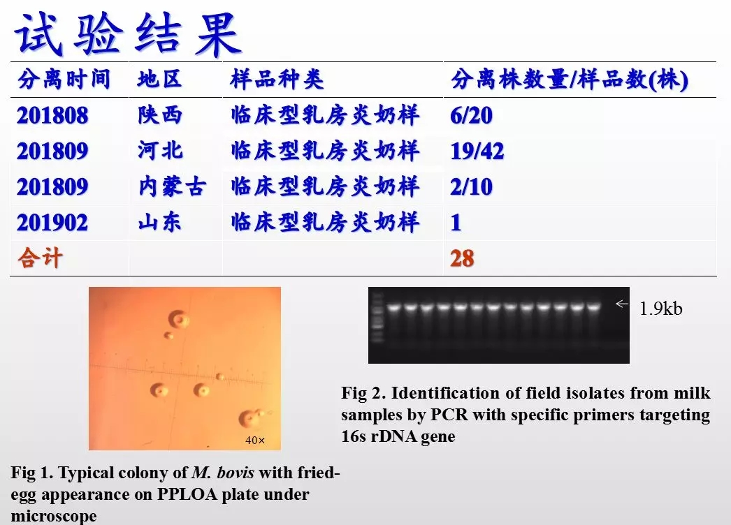1589263588530237.jpg