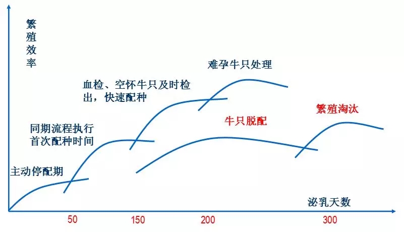 1589264052306472.jpg 640.webp (9).jpg