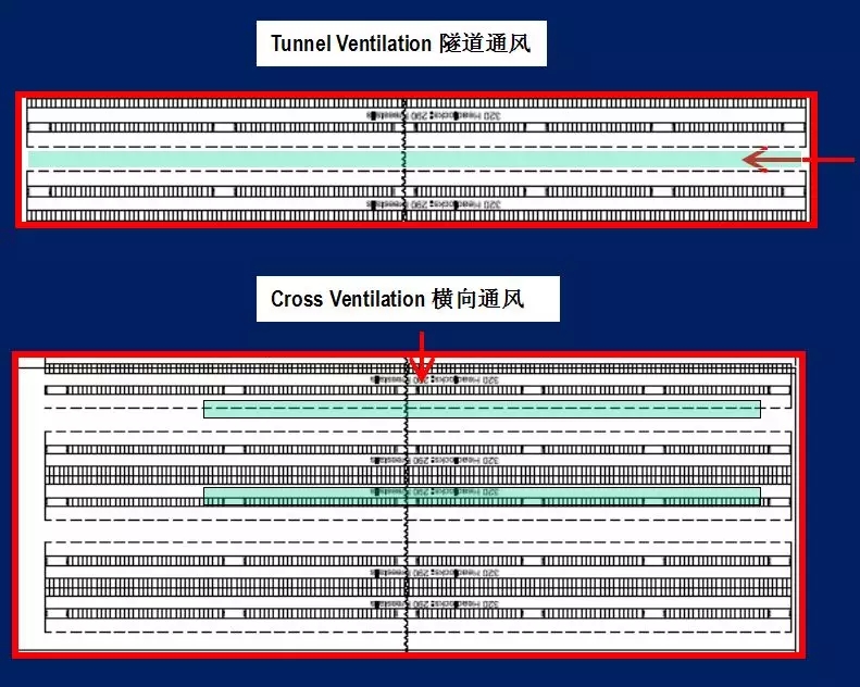 1589265444967182.jpg 640.webp (13).jpg
