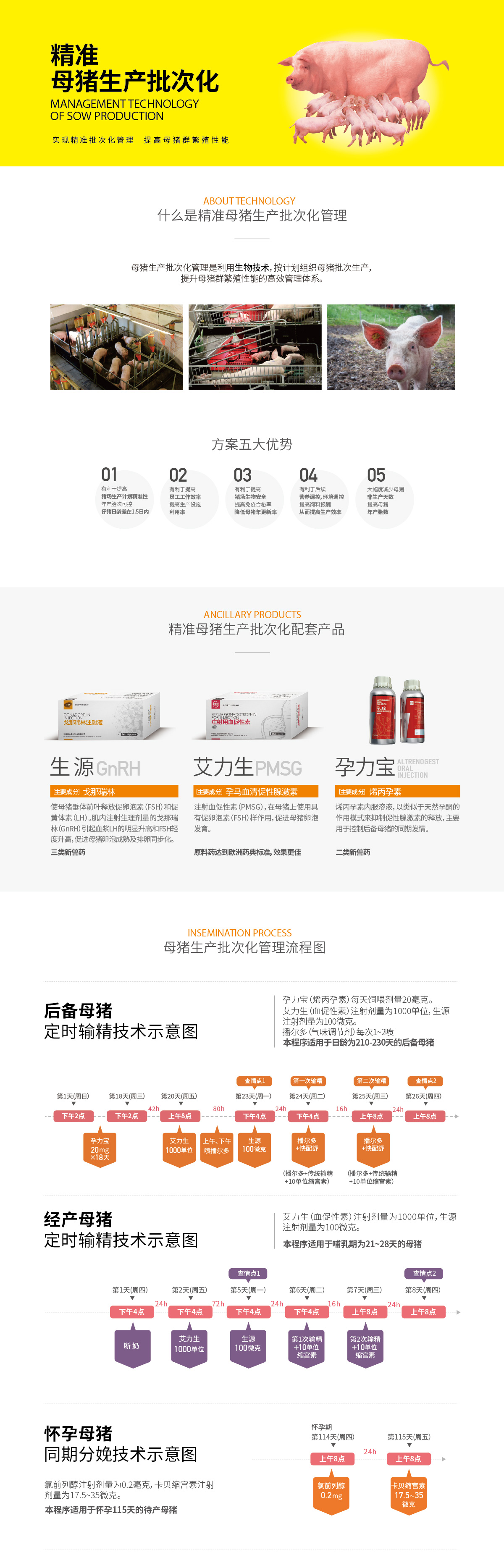 新中文網(wǎng)站技術(shù)詳情頁(yè)CS6-01.jpg