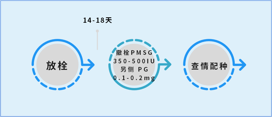 640 (11).png