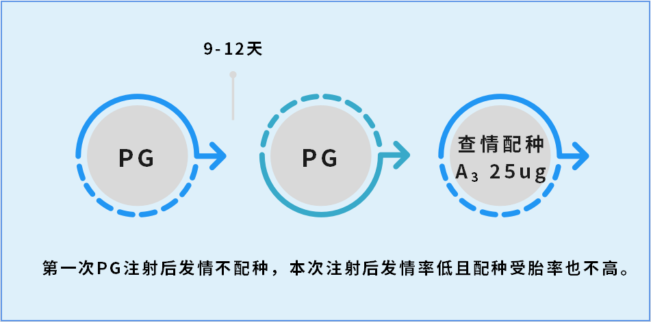 640 (12).png