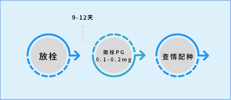640 (13).png