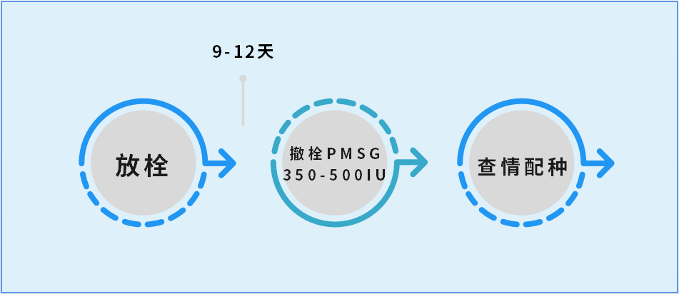 640 (14).png